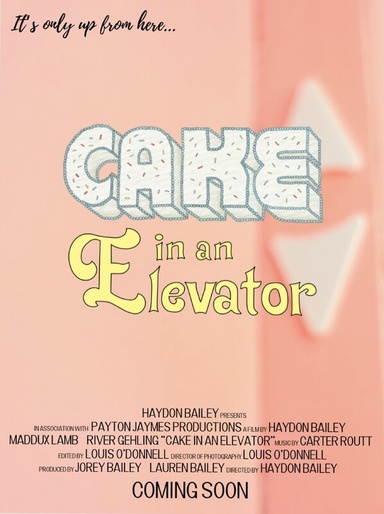 Poster for Cake in an Elevator by Haydon Bailey